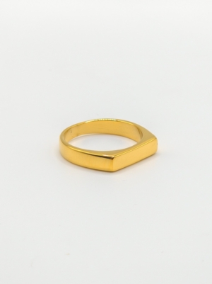 ANILLO REFINADO